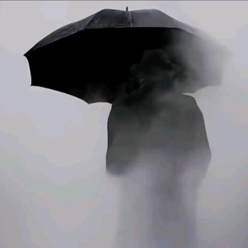 晚风知我意