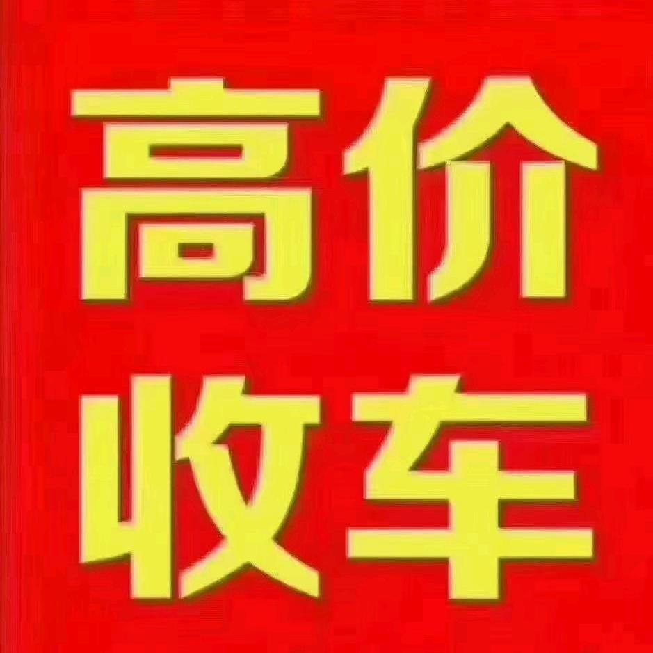 济南王磊
