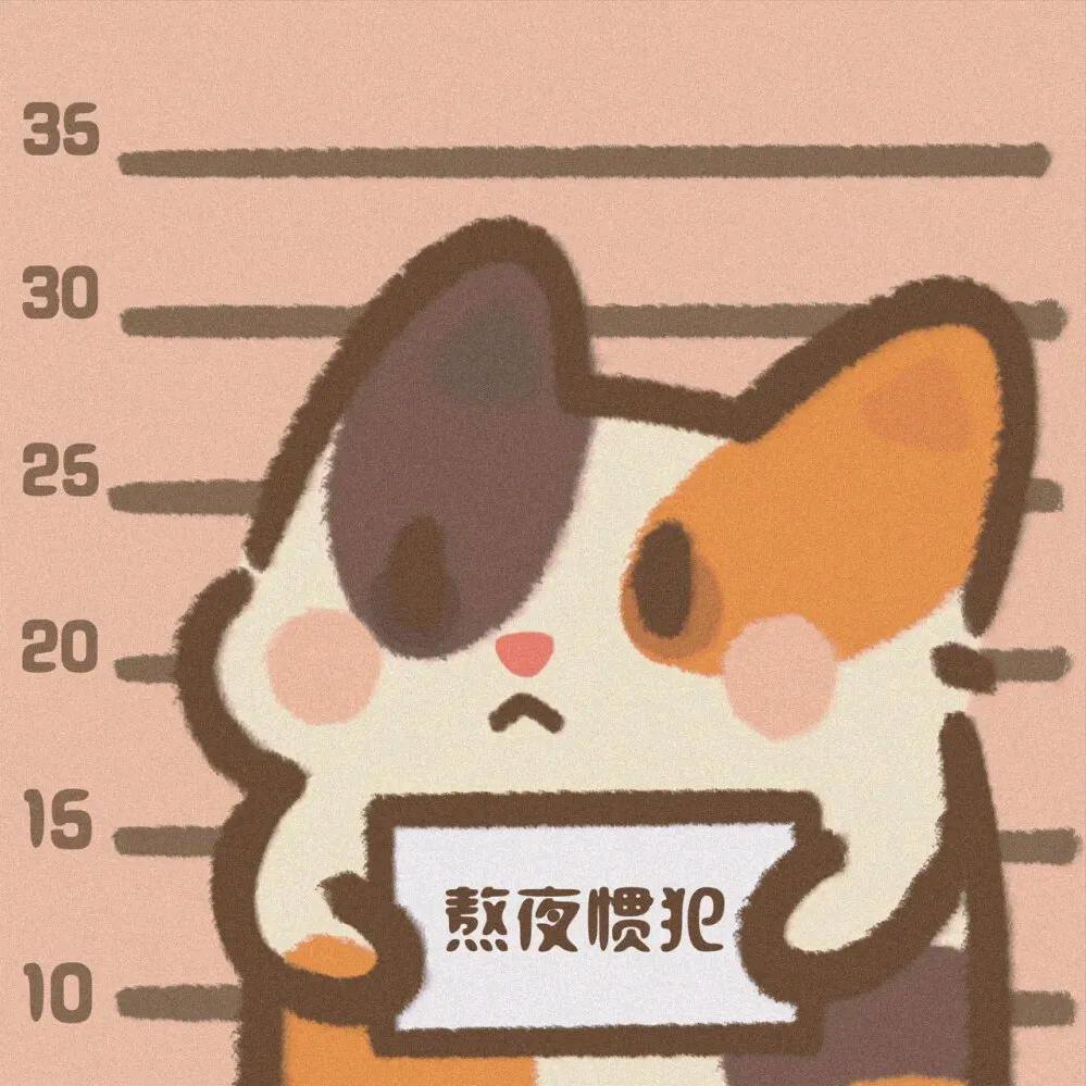 老许老婆是有钱呀
