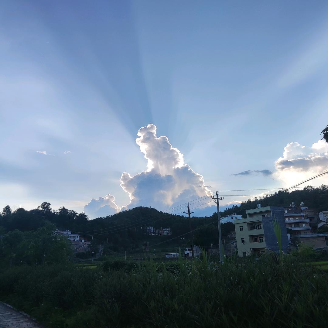 麦卡伦
