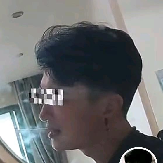 一本正经的皮格