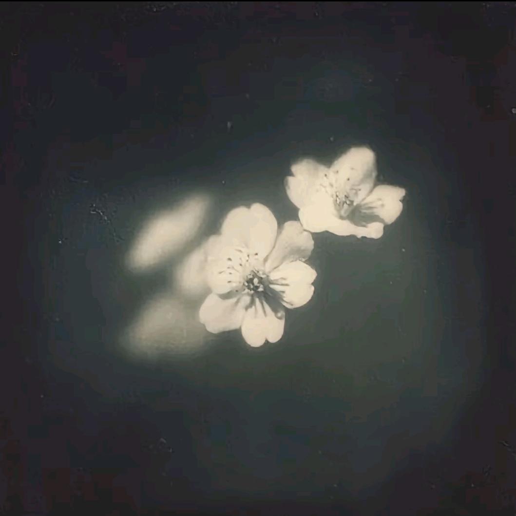 星期八就恋爱