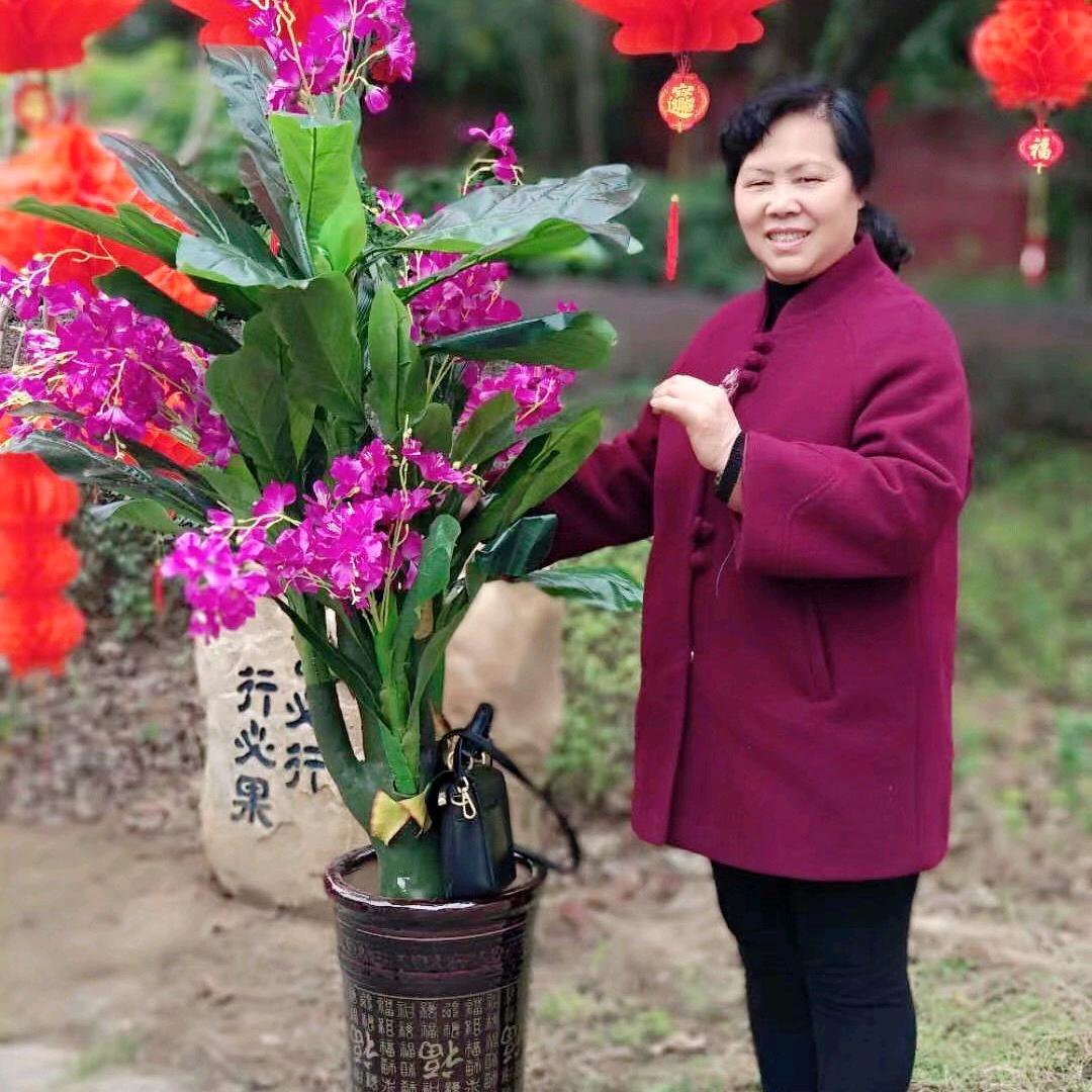乡村胡大姐