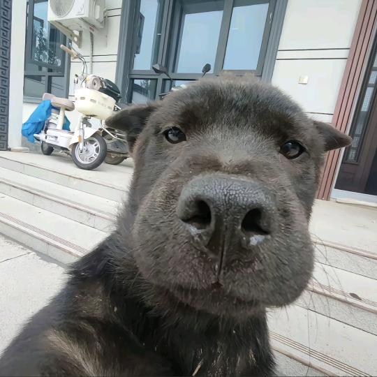 强者从不抱怨环境