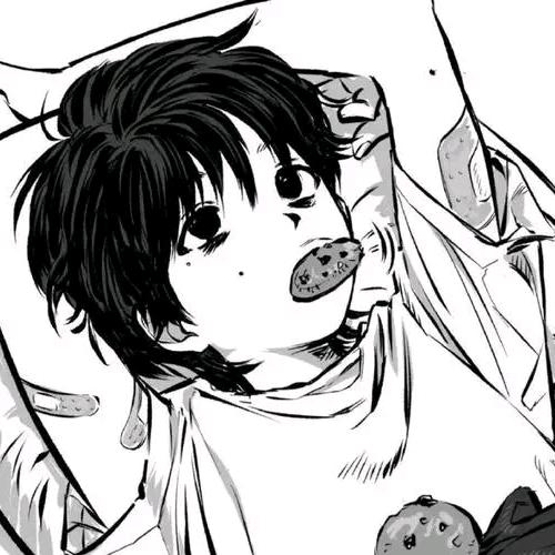 么奥猫