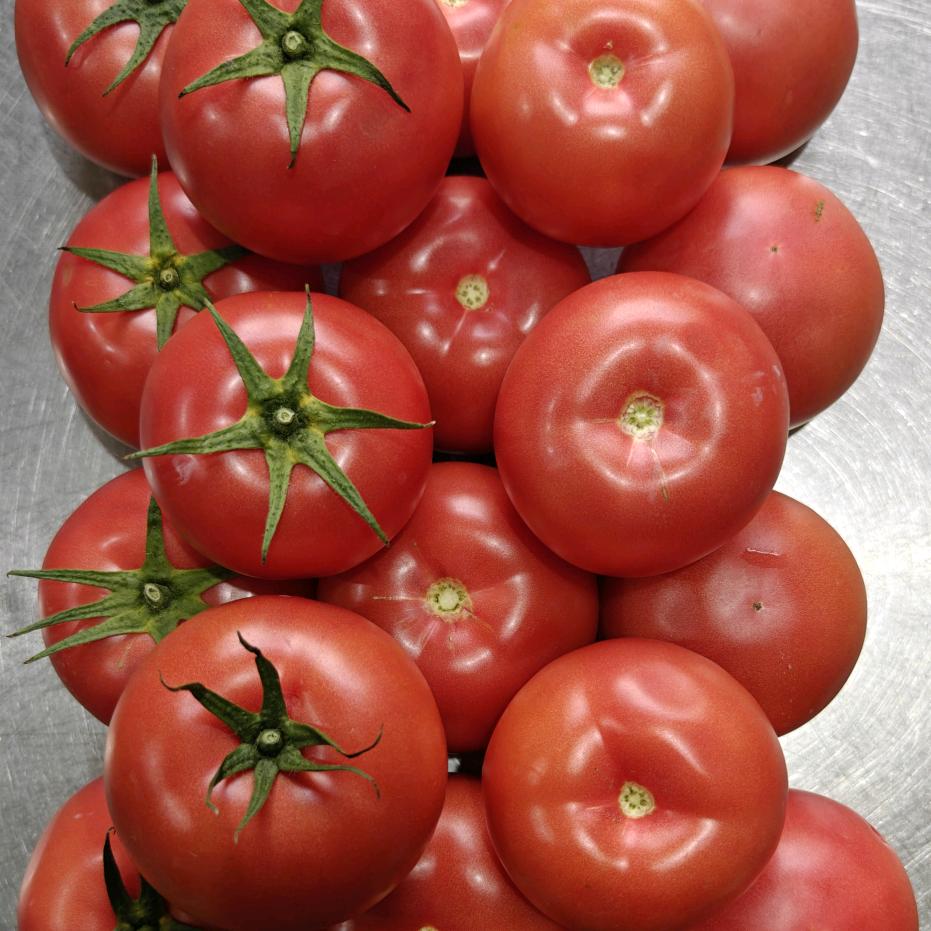 李小生番茄小队长