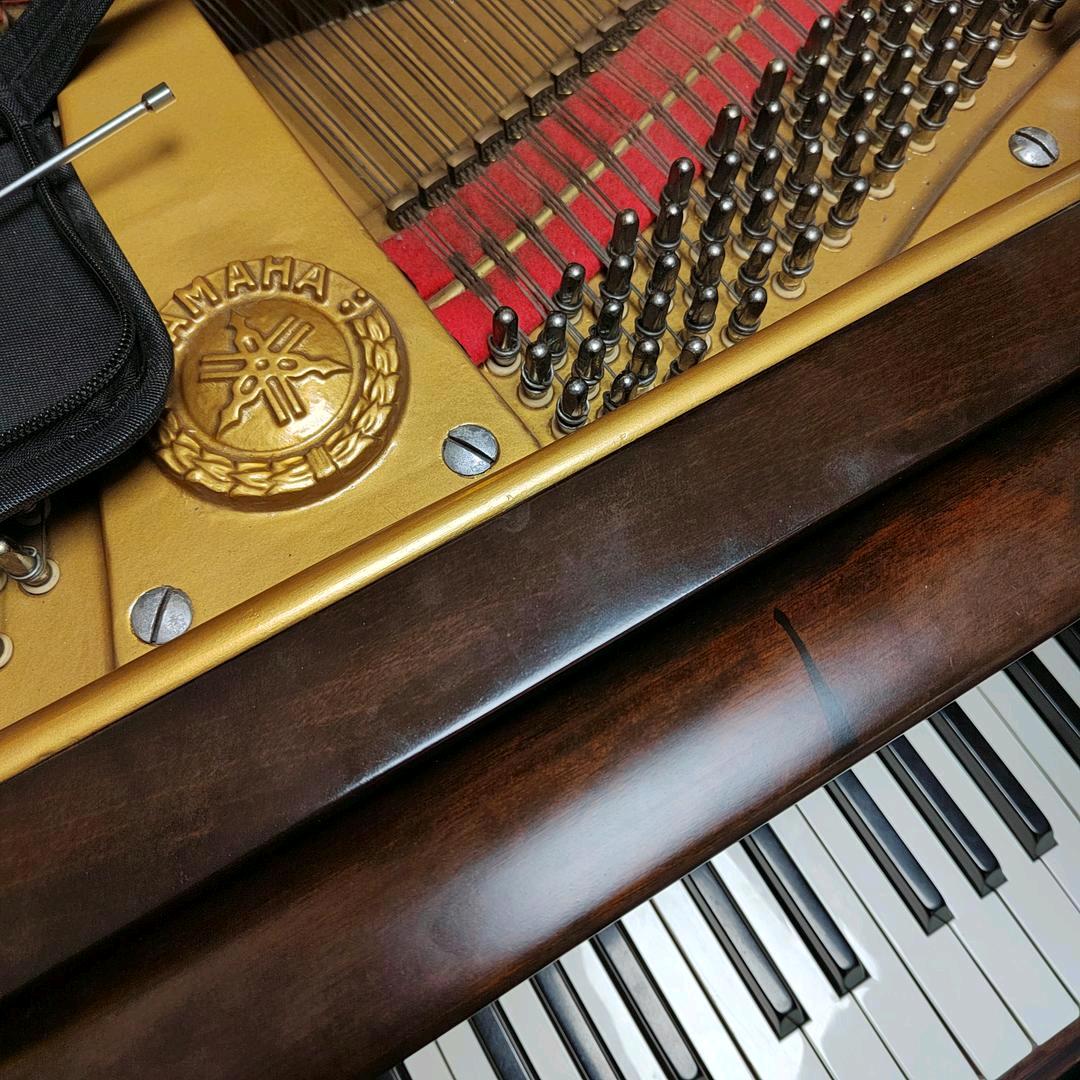 长春钢琴调音000000