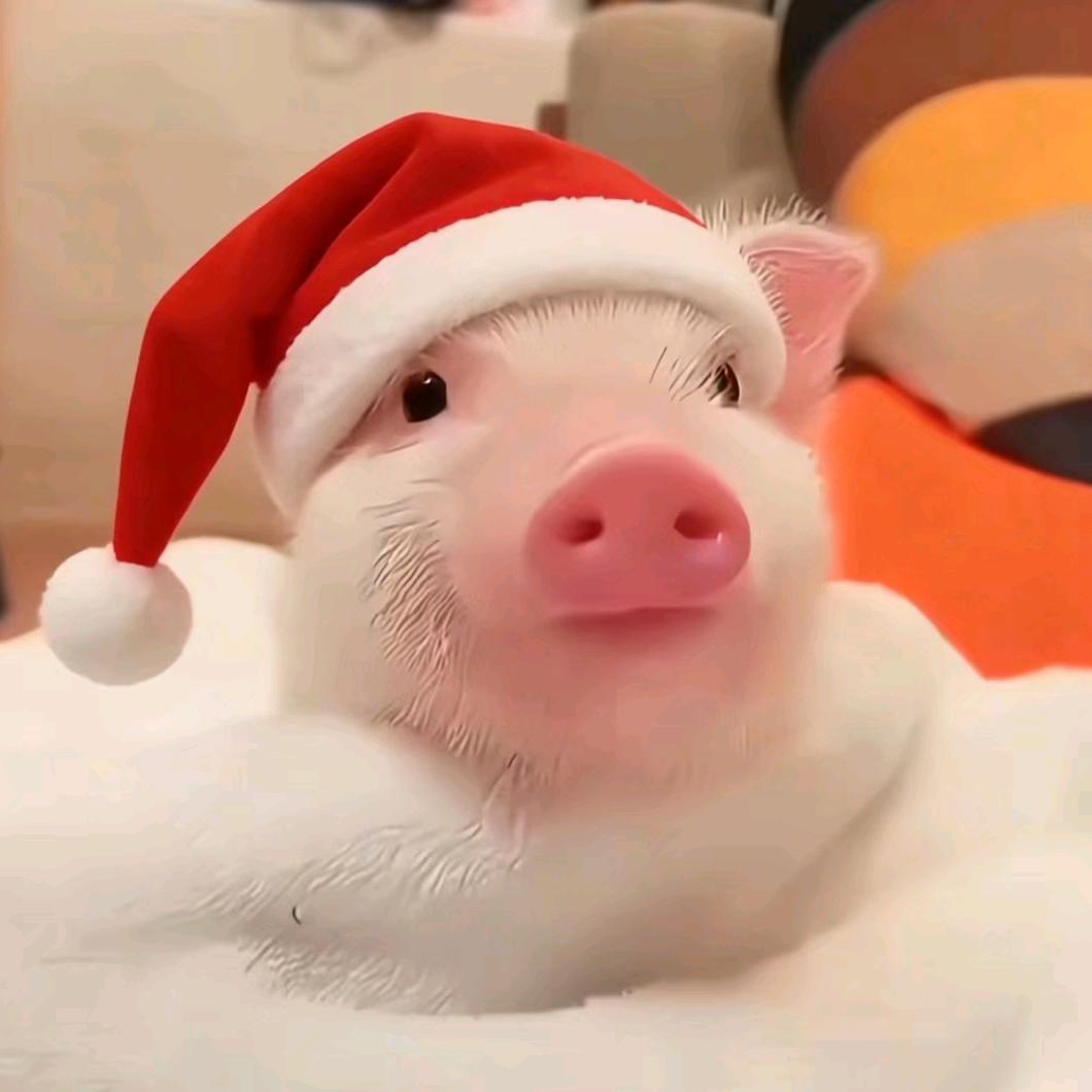 地球没我会爆炸