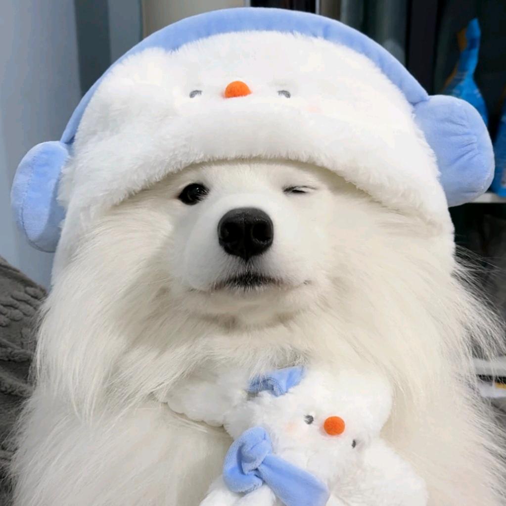 .杨