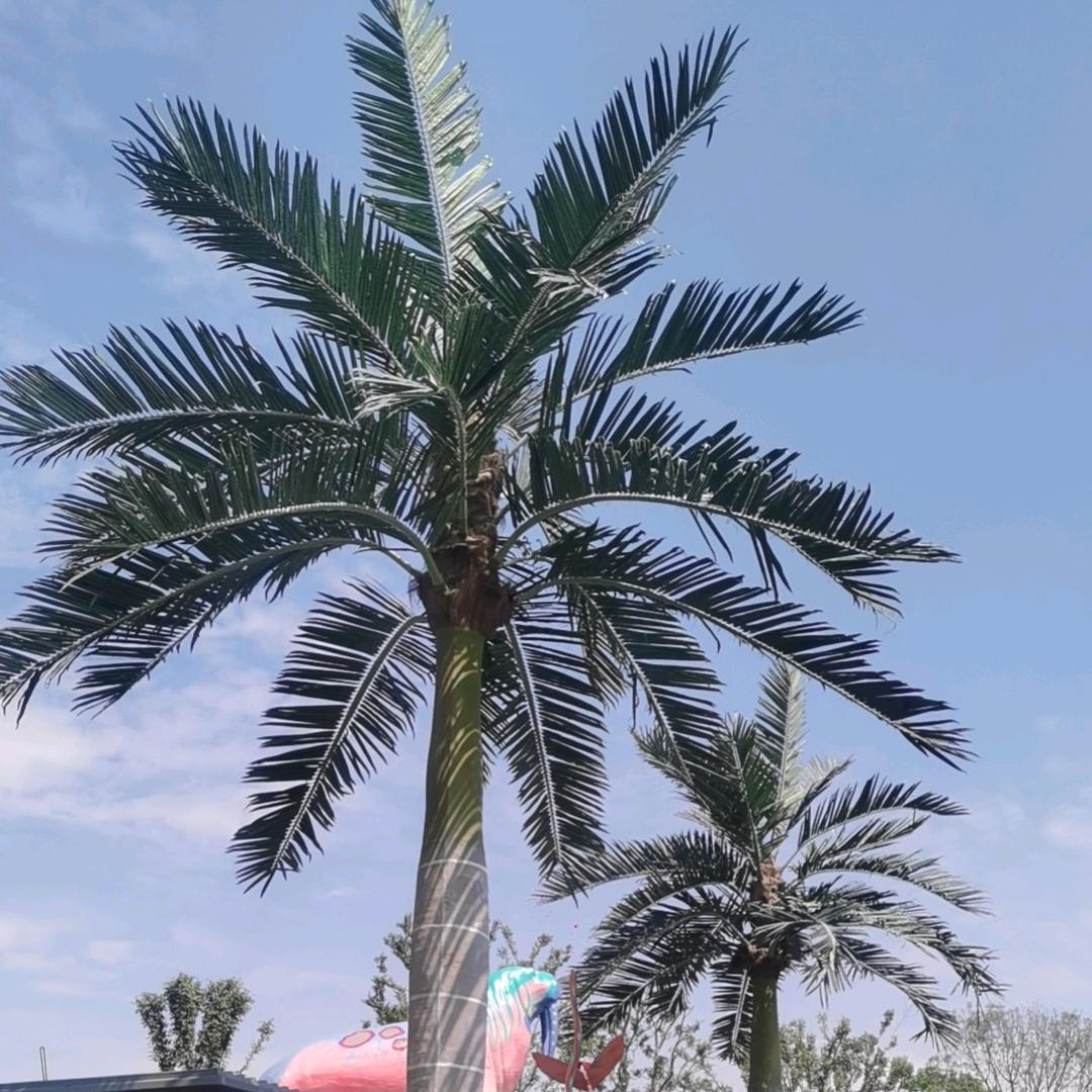 尹燕波