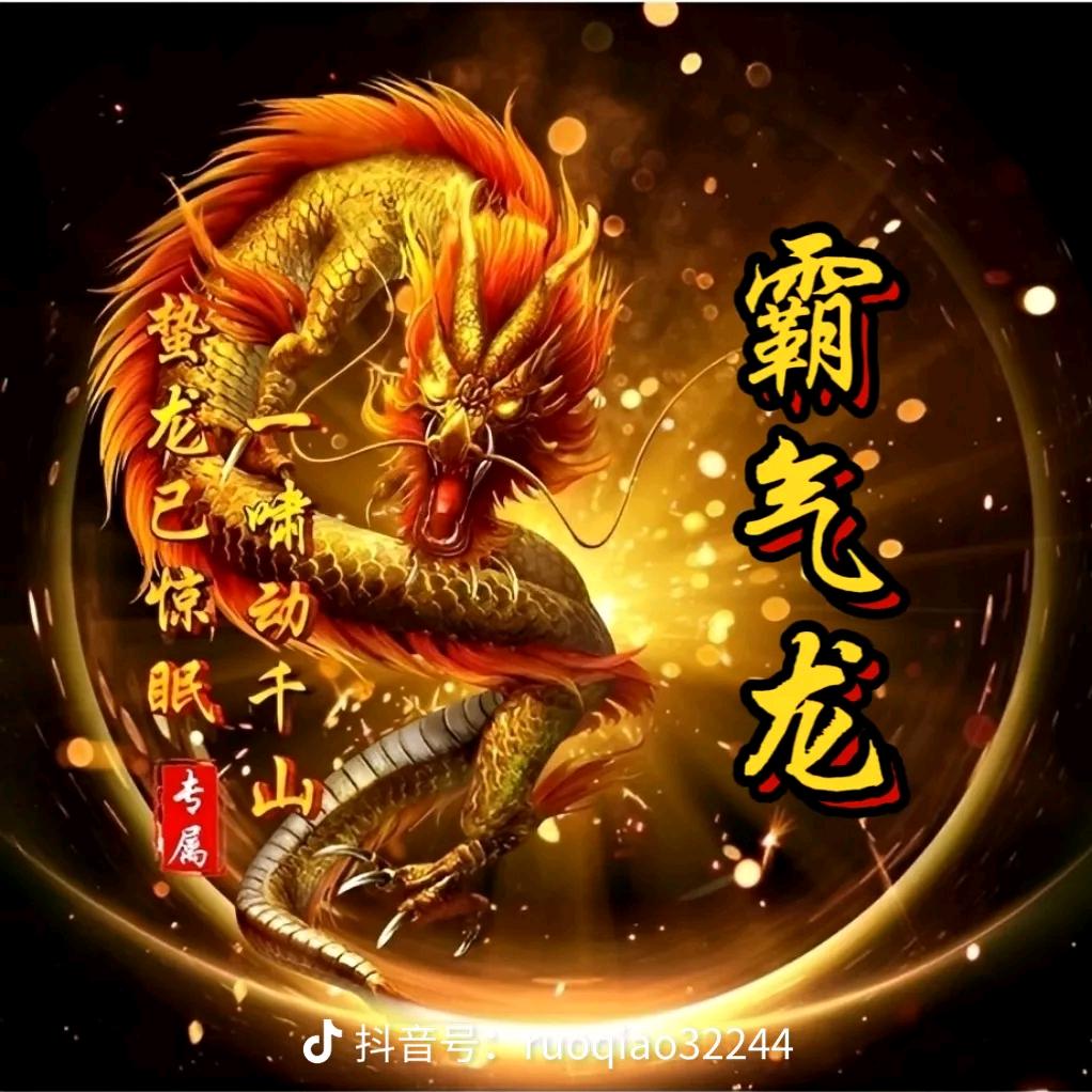 霸气龙***