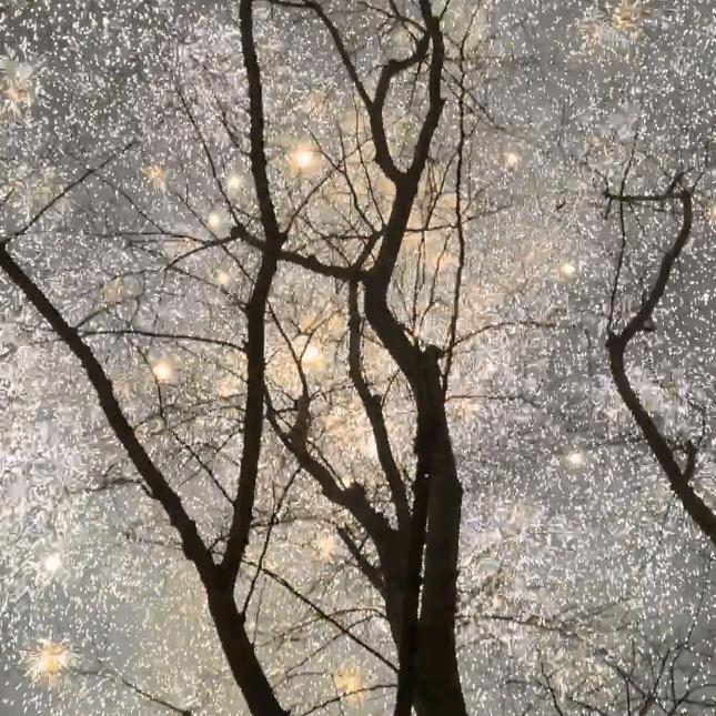 我的智商是负数嘿嘿