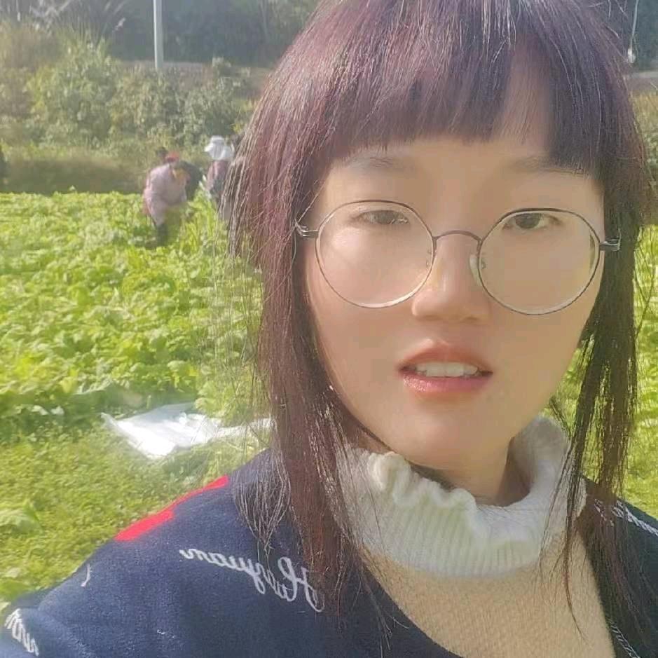 吴大学生干果蔬