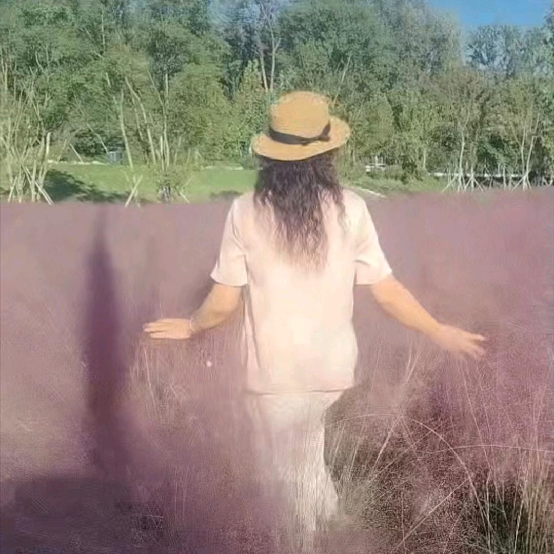 清风（拒私聊）