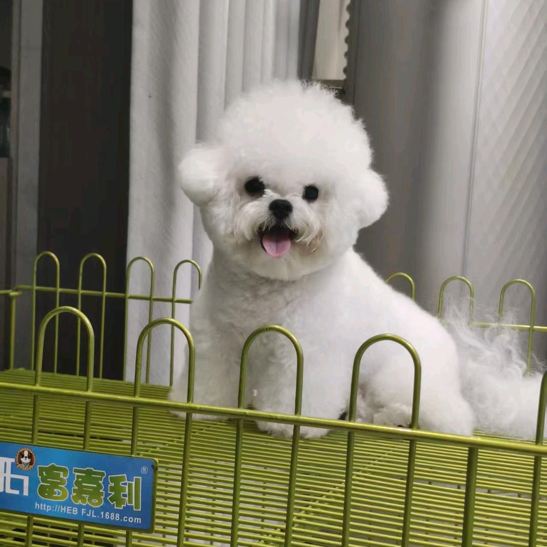 _安于现状