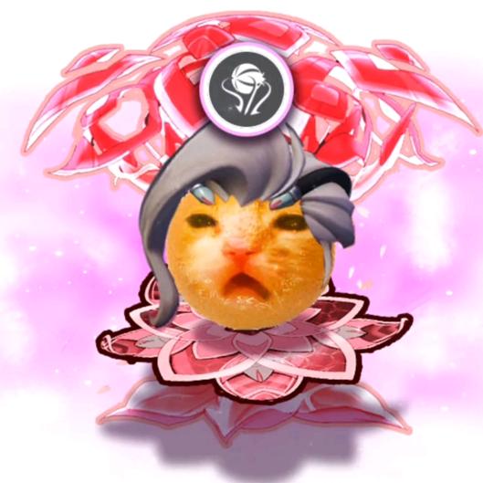 拾贰