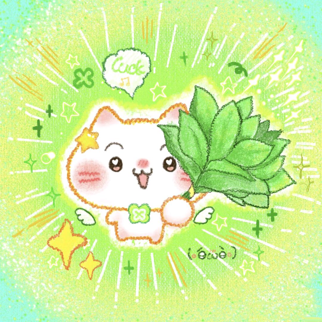 🌈幸运小美