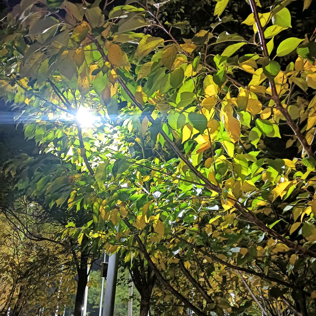护你周全