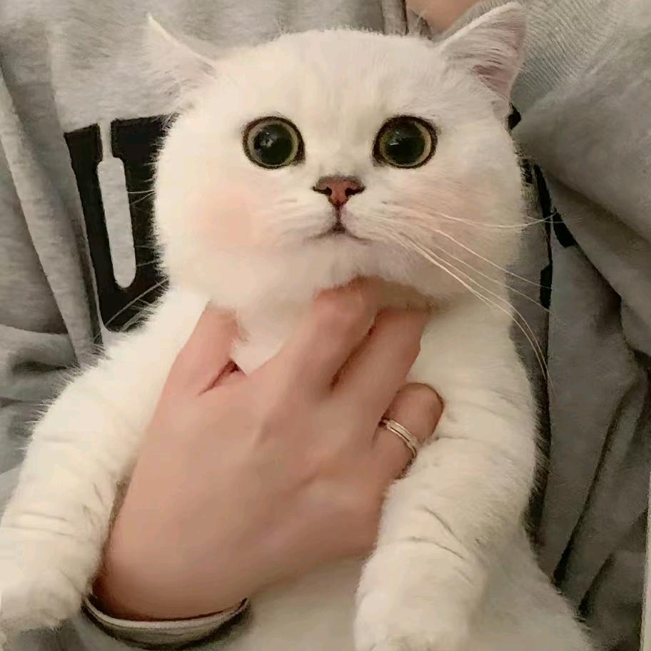 一身相伴