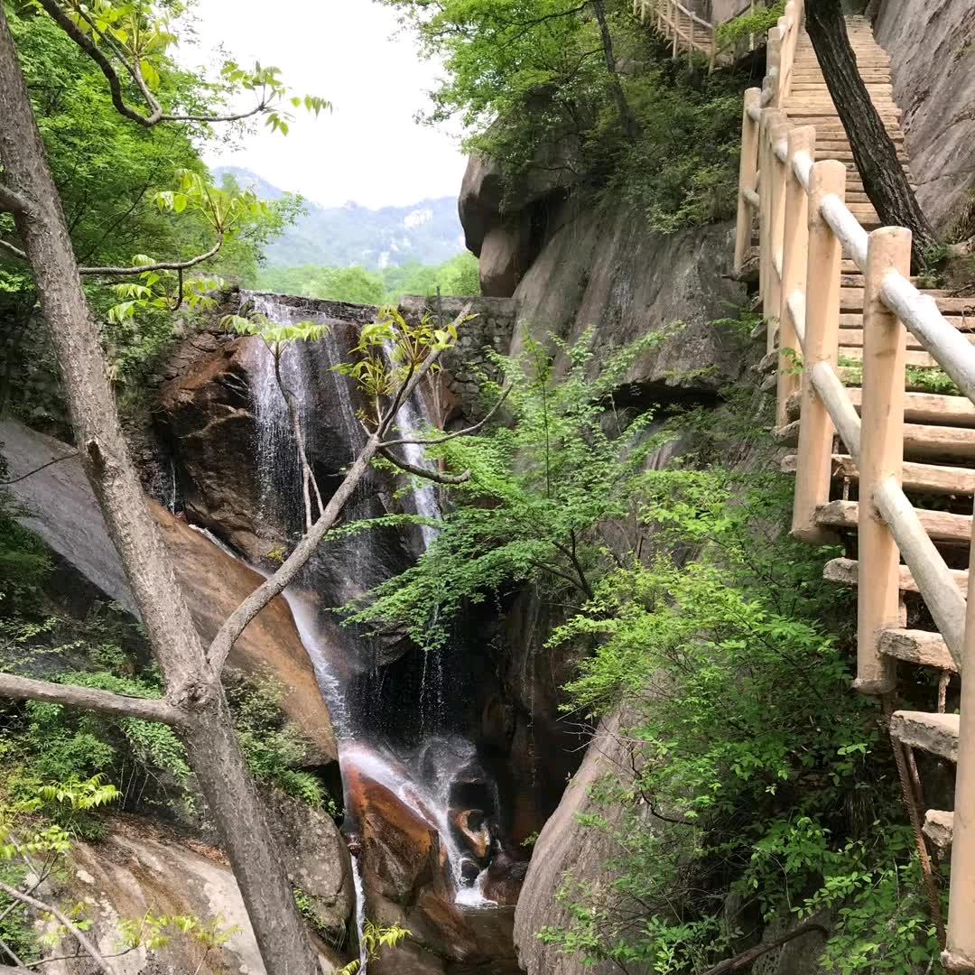 顺风局