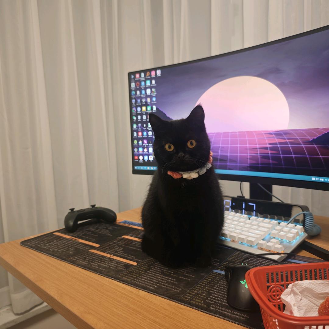 一万句晓不得