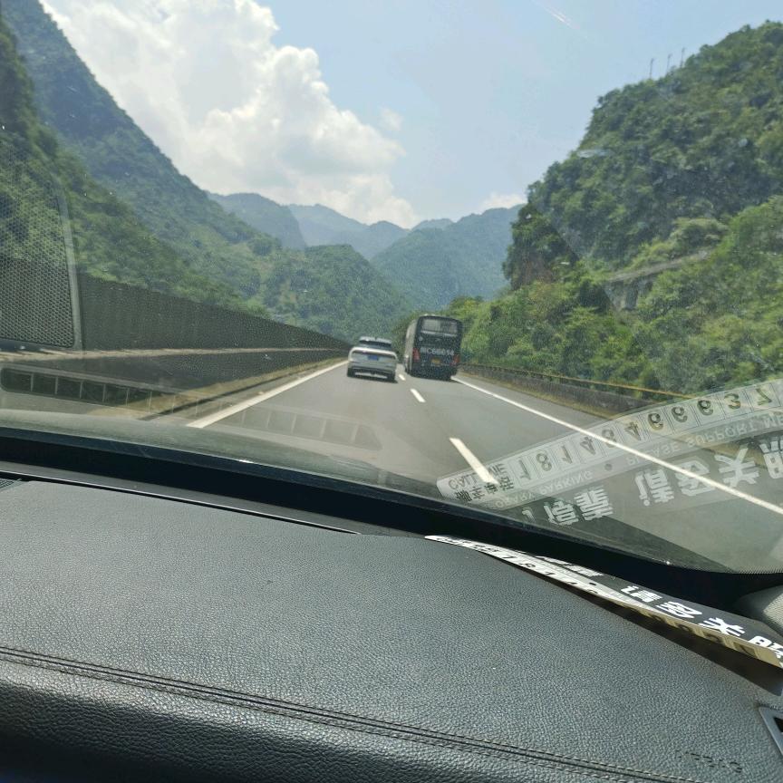 你猜我是谁