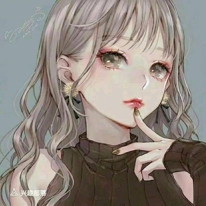 鲨宝