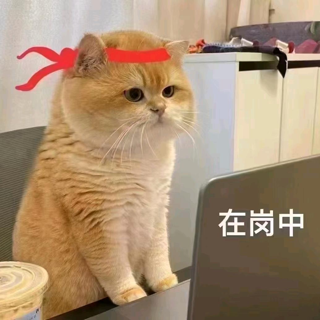 哈哈哈