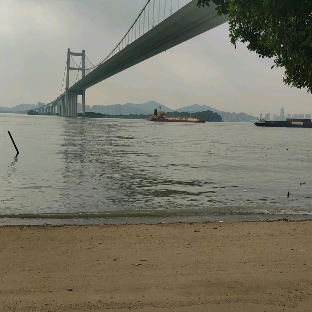 蒹葭苍苍，白露为霜，所谓伊人。在水一方！