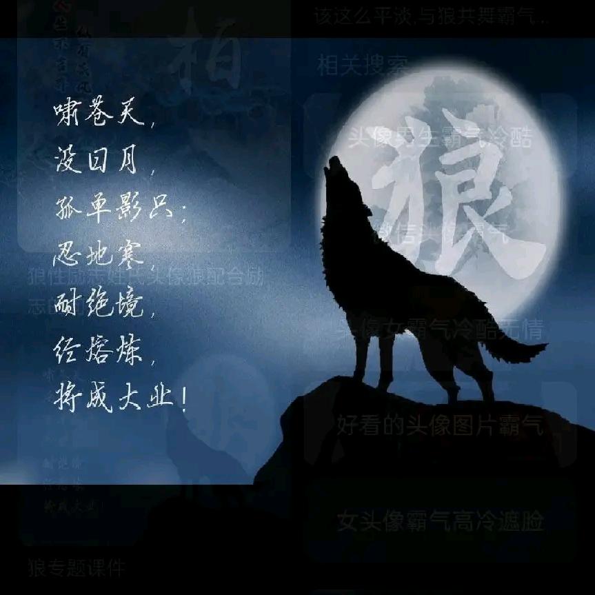 Wolf King