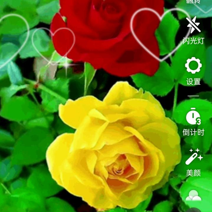 大展宏图😘😘😘