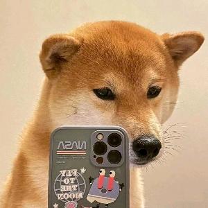 嘿嘿哈黑