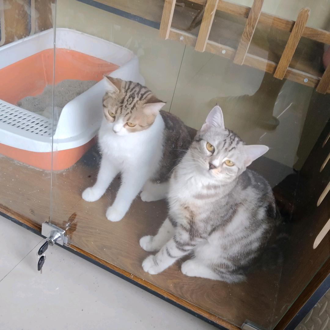 魏洪涛