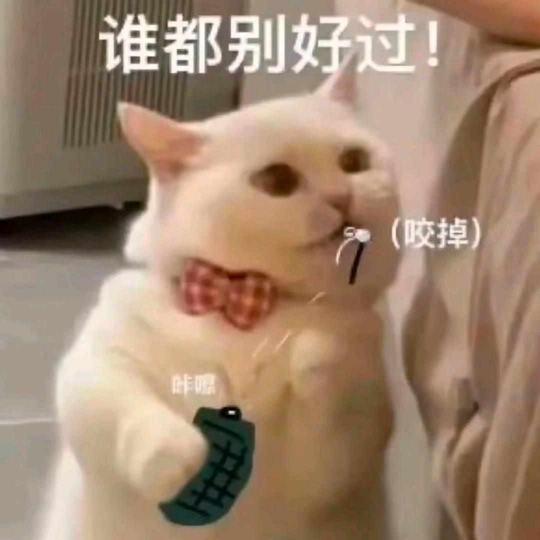 吃泥马的香菜（顾客源源不断来）