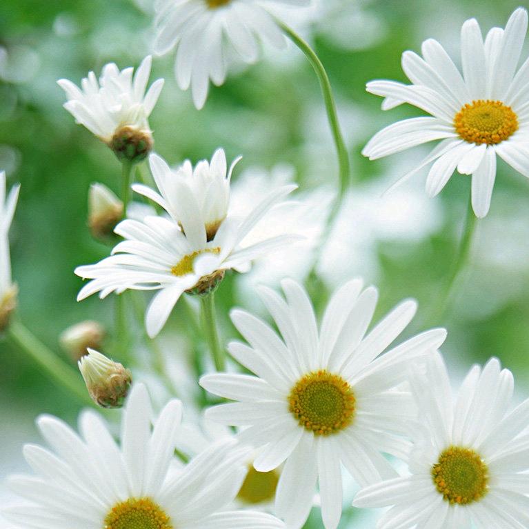 雨曦💝👑💎💎💎💎