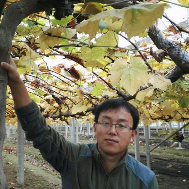 国光葡萄池老师讲聊全程方案