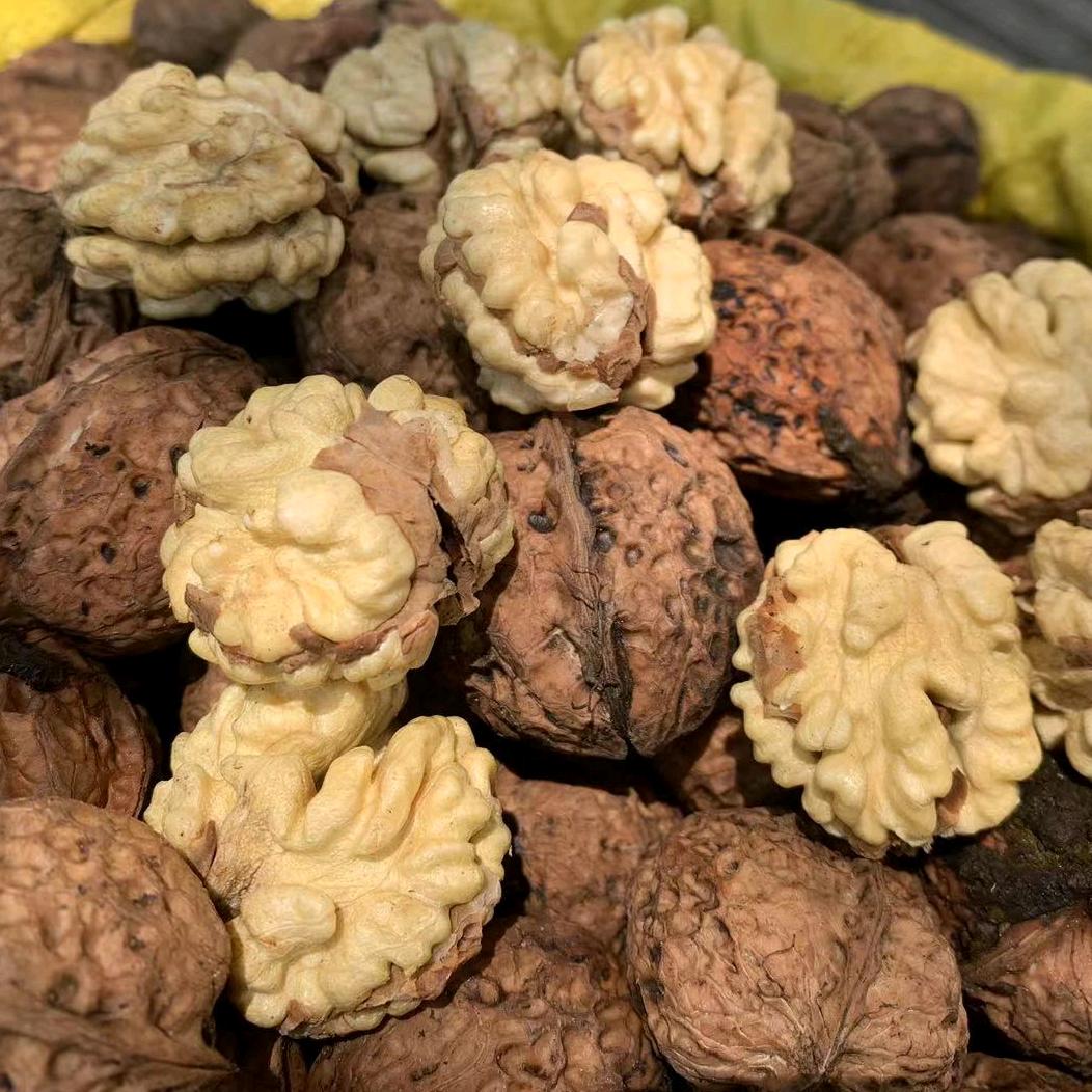 彝乡汇农副产品精选