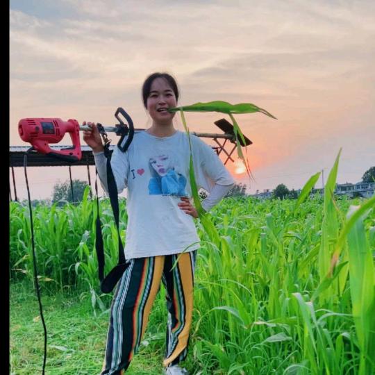 养羊的莎莎