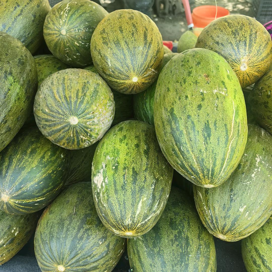 东南亚水果运输。