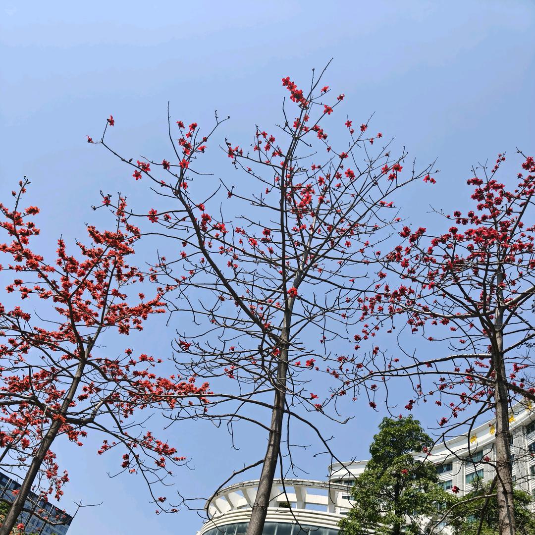 轻轻飘过