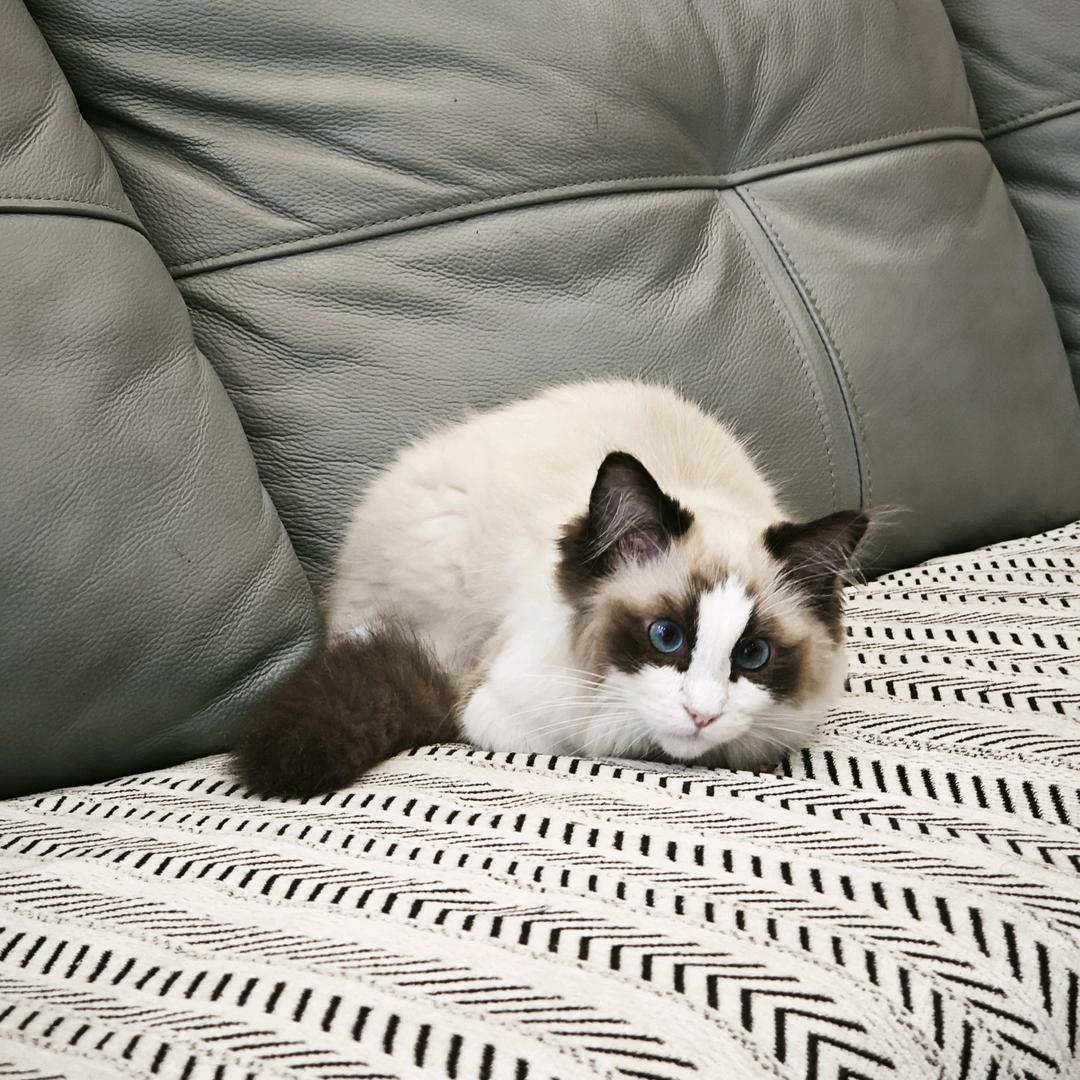 仁怀房产小陈