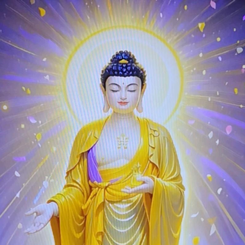 观南师傅