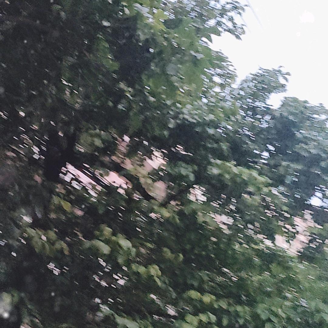 逆风飞翔