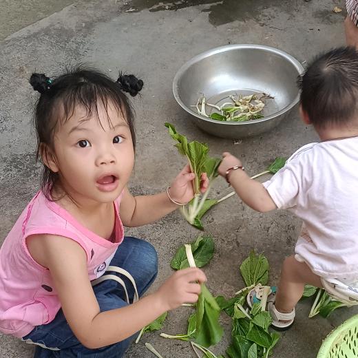 宾阳妹