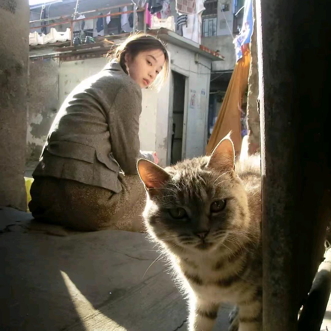 栾