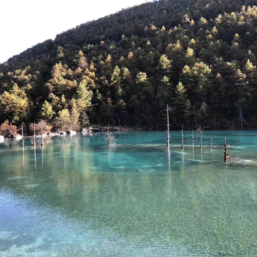 爱伊淇