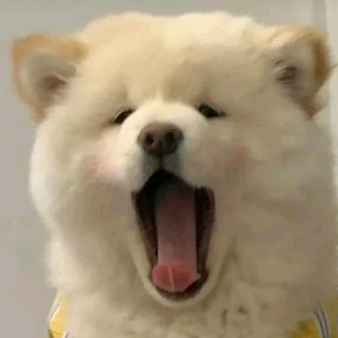 ૮꒰ ˶• ༝ •˶꒱ა 🥱🥱🥱