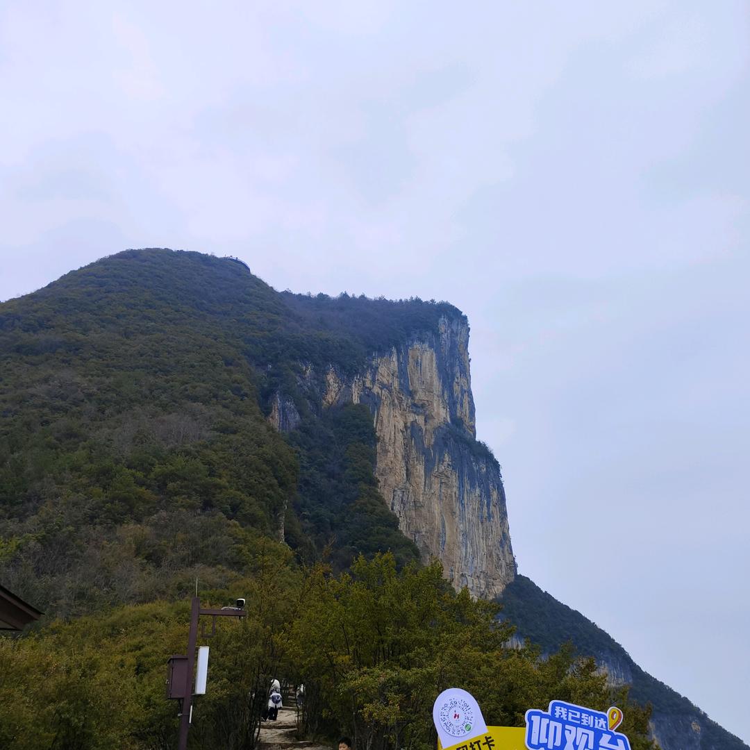 言浠