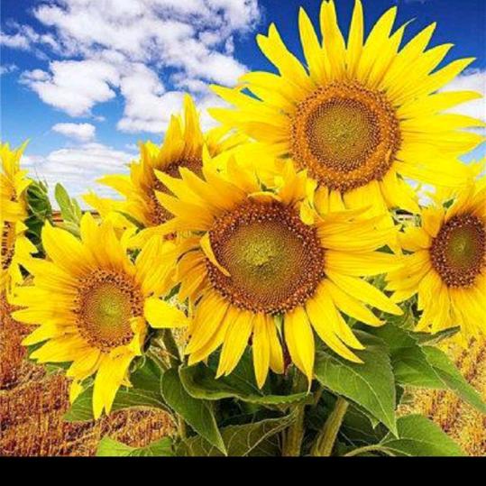 巩固幸福的生活