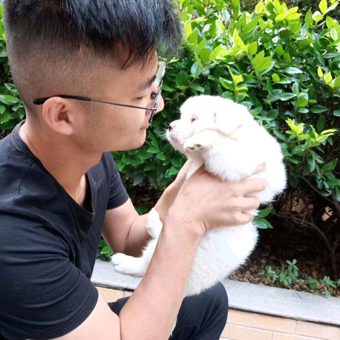 大冶黑子找房